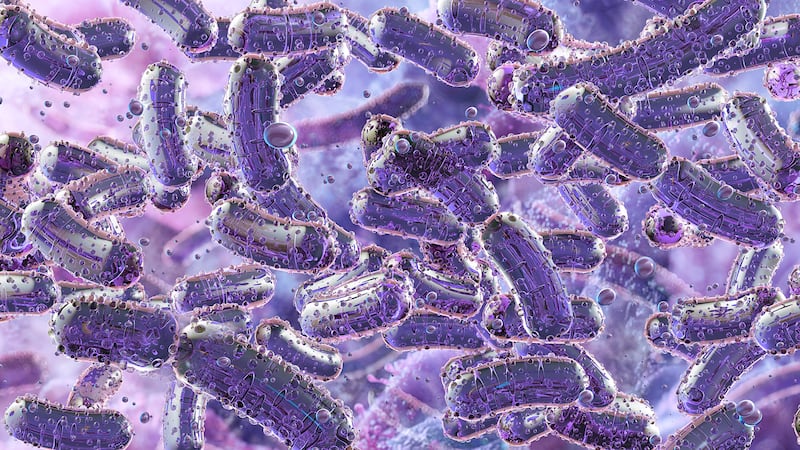 ¿Qué es la bacteria Klebsiella pneumoniae? Fue la causa de muerte de 3 bebés en hospital de Jalisco