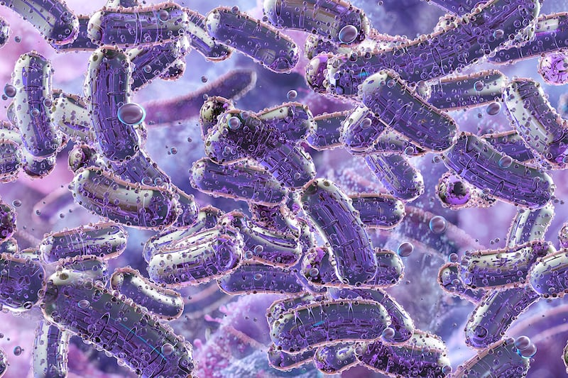 ¿Qué es la bacteria Klebsiella pneumoniae? Fue la causa de muerte de 3 bebés en hospital de Jalisco