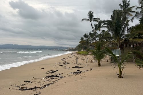 Huracán ‘Simón’: Nayarit activa la Ley Seca y cierra todas sus playas; estos municipios están en alerta
