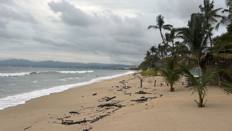 Huracán ‘Simón’: Nayarit activa la Ley Seca y cierra todas sus playas; estos municipios están en alerta