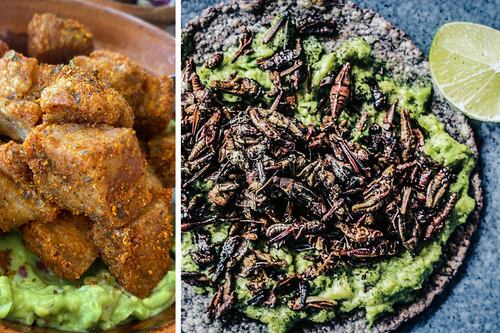 Con insectos, frutas y carne: Tipos de guacamole que debes conocer en México