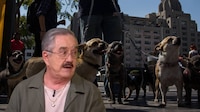 ‘Polanco, la ciudad de las cacas’: Las críticas de Pedro Sola al boom de los perros en CDMX