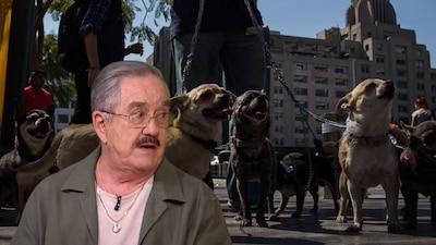 Pedro Sola ya ha criticado la presencia de perros en espacios públicos. (Foto: Cuartoscuro/captura Ventaneando)