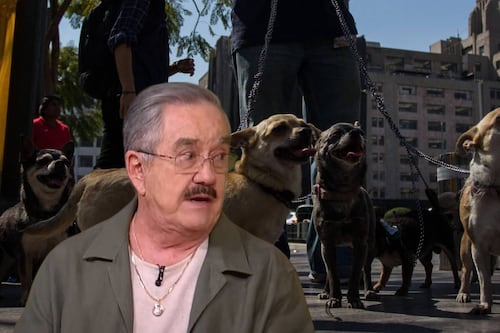 ‘Polanco, la ciudad de las cacas’: Las críticas de Pedro Sola al boom de los perros en CDMX