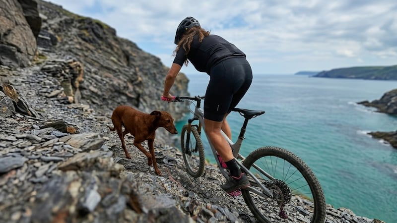 (VIDEO) ¿Qué le pasó a Cecilia Sopeña? Ciclista casi cae por precipicio y perrita la ‘salva’: ‘Tuve miedo’
