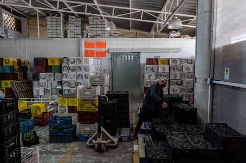 ¿Qué esperar cuando se está revisando?