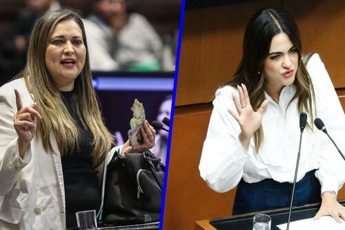 ‘Yo me peino en casa’: Morenistas se deslindan de estética en el Senado y piden pasar página