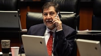 ‘Pinche machirrín’: Diputada del PAN ‘compra’ pleito con Noroña por defender a Alessandra Rojo