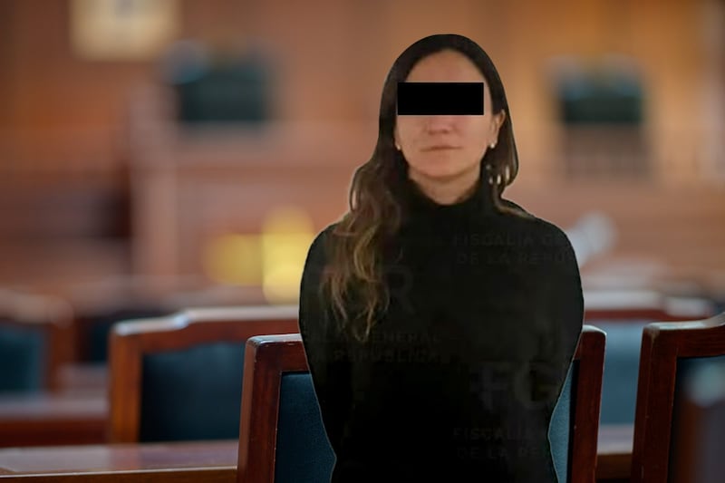 Abogado de Gilda ‘N’, hermana de Emilio Lozoya, denuncia uso excesivo de la fuerza tras su detención