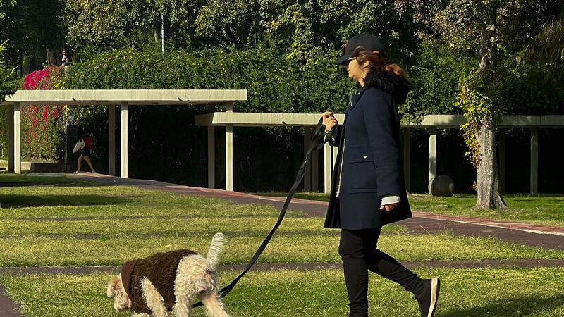 Alerta por frío en la CDMX: 7 alcaldías esperan bajas temperaturas el 14 de enero