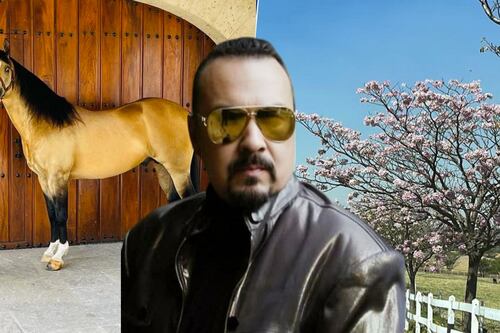 Pepe Aguilar hace ‘negocios’ con el rancho ‘Los 3 Potrillos’ de Vicente Fernández: ¿Qué pasó?