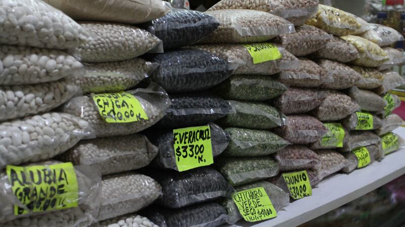 ‘Amarte Duele’ nos hizo daño: Mexicanos creen que comer frijoles es ‘para pobres’, según la UNAM