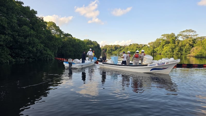Pemex limpia hidrocarburo en el Río Seco, cercano a Dos Bocas, tras derrame en costas de Tabasco