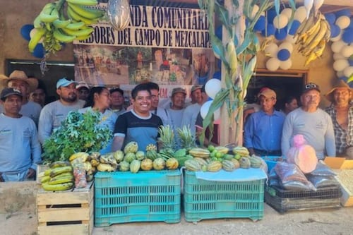 3 mil 800 tianguis campesinos de Sembrando Vida contribuyen a la alimentación saludable en México