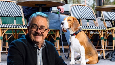 Pedro Sola no está de acuerdo con la presencia de perros en algunos lugares públicos. (Foto: Cuartoscuro/Shutterstock/Imagen modificada con IA)