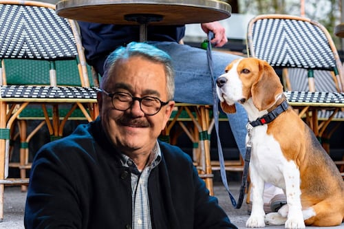 Pedro Sola se queja de los perros en plazas y restaurantes: ‘Con ganas de darles carne envenenada’
