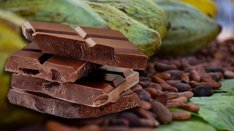 ¿Por qué el precio del chocolate va a la baja? Futuros del cacao tocan nivel más bajo en casi un año