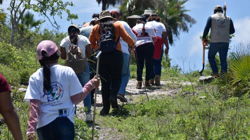 Madres buscadoras critican censo de desaparecidos: ‘Es revictimizante’