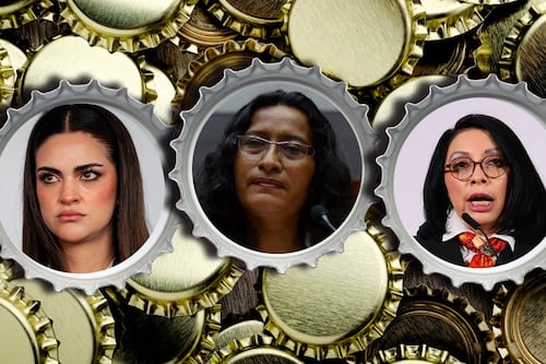 Aspirantes de Morena para elecciones 2027 deberán pasar por filtros penales: Citlalli Hernández