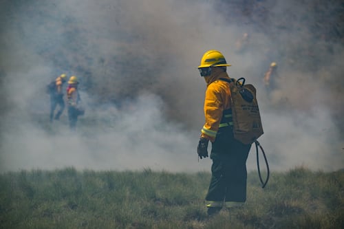 Incendios forestales caen 52% en Edomex: Refuerzan vigilancia y advierten “quien incendia, la paga”