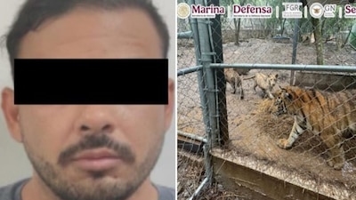 alt default