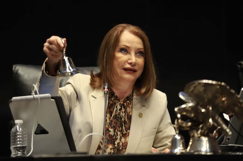PERFIL: Laura Itzel Castillo, de presidenta del Senado a nueva secretaria de las Mujeres
