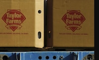 ‘Quitan visa’ a la lechuga mexicana: Taylor Farms suspenderá exportación a EU tras brote de ciclospora
