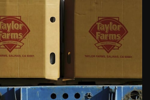 ‘Quitan visa’ a la lechuga mexicana: Taylor Farms suspenderá exportación a EU tras brote de ciclospora