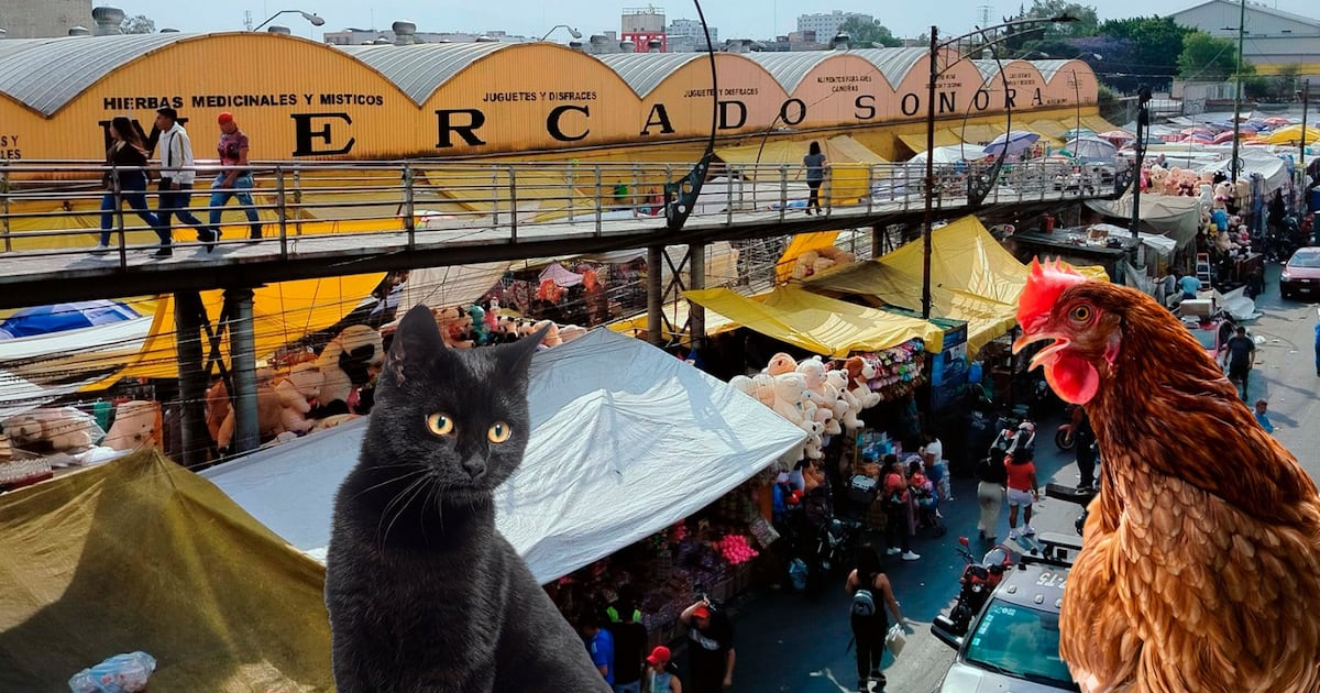 Mercado Sonora prohíbe la venta de animales vivos a partir de 2026