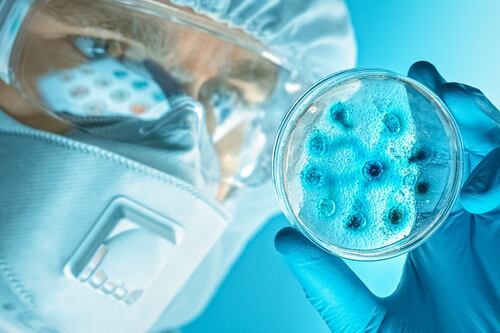 Esto sabemos de la bacteria ‘devoradora de carne’ y por qué es tan letal para el ser humano