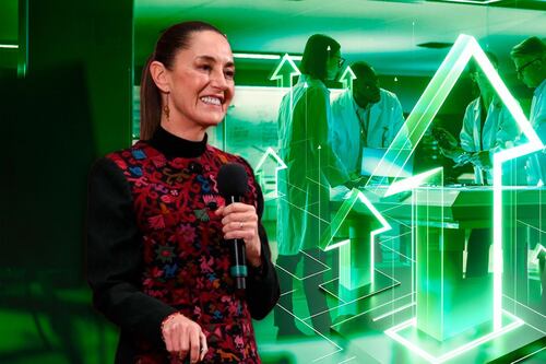 El proyecto aburrido de la presidenta