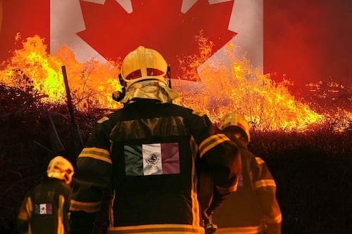 México envía refuerzos a Canadá: Despliega 104 brigadistas ante la emergencia por incendios forestales