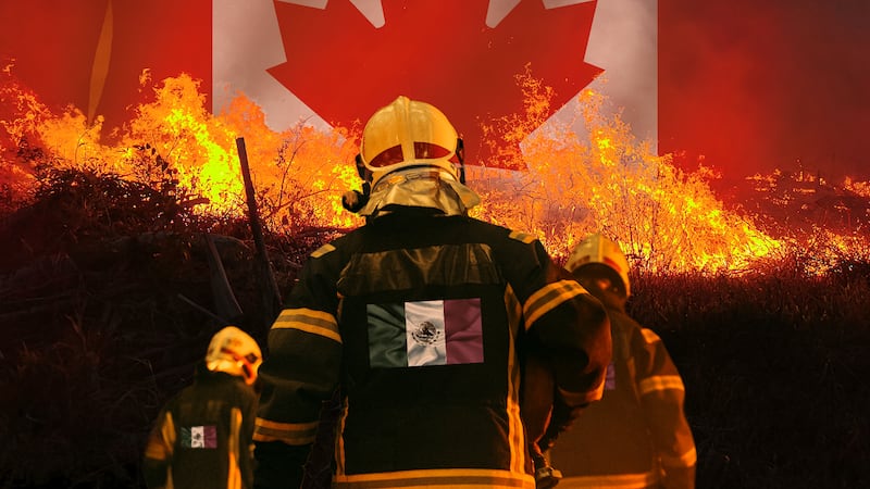 México envía refuerzos a Canadá: Despliega 104 brigadistas ante la emergencia por incendios forestales