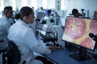 Marina abre convocatoria para licenciaturas gratuitas, estos son los requisitos