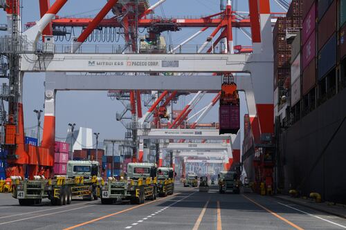 Pelean exportadores como ‘gato bocarriba’