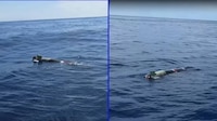 Pescadores hallan un misil flotando en mar de Ensenada: ‘Imagínate que explote’