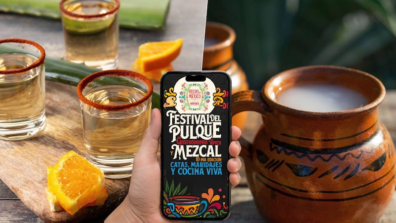 Festival del Pulque, Gastronomía Típica y Mezcal con cata y maridaje: Fecha, hora, sede y más