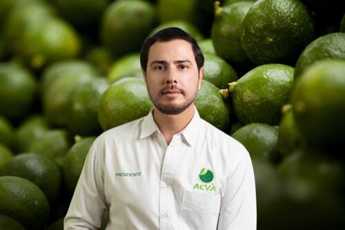 Los Blancos de Troya: ¿Qué cártel habría asesinado a Bernardo Bravo y extorsiona a limoneros?