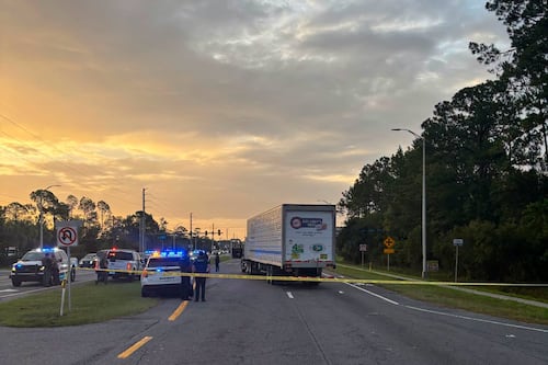 Mexicano muere atropellado al huir de un operativo del ICE en Florida: ‘Se atravesó corriendo’