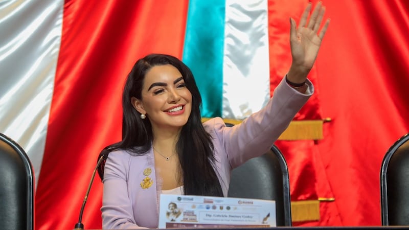 Diputada de Morena pide regularizar la IA de cara a las elecciones de 2027
