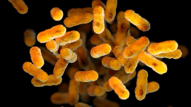 Tos ferina en México aumenta: ¿Qué estados reportan más casos?