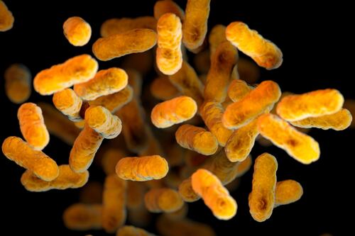 ‘Es una enfermedad horrible’: Aumentan casos de tos convulsiva en niños y adolescentes de EU