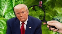 Trump analiza arancel a México por brote de ‘diarrea explosiva’ por supuesta contaminación de lechugas