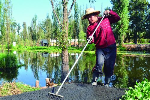 Invasiones y despojo acaban con zonas ecológicas de Xochimilco