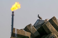 Pemex busca desarrollar proyectos de gas licuado: ¿En qué zona del país los evalúa?