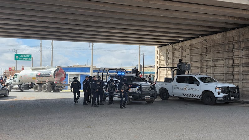 Violencia en Zacatecas: Hallan 10 cuerpos sin vida en varios lugares