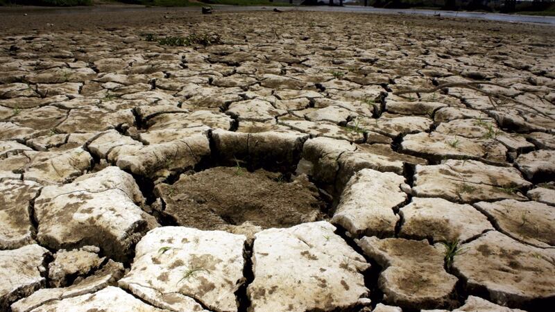 Sequía azota Sonora: Declaran emergencia por escasez de agua y bajos niveles en presas