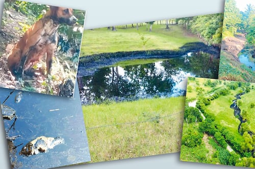 Problemas en Veracruz para Sheinbaum