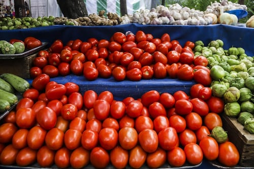 Precio del jitomate hasta 80 pesos por kilo se extenderá al verano, advierten productores