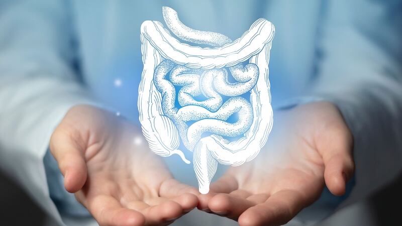 Una esperanza contra el cáncer de recto: medicamento lo remite en 12 pacientes